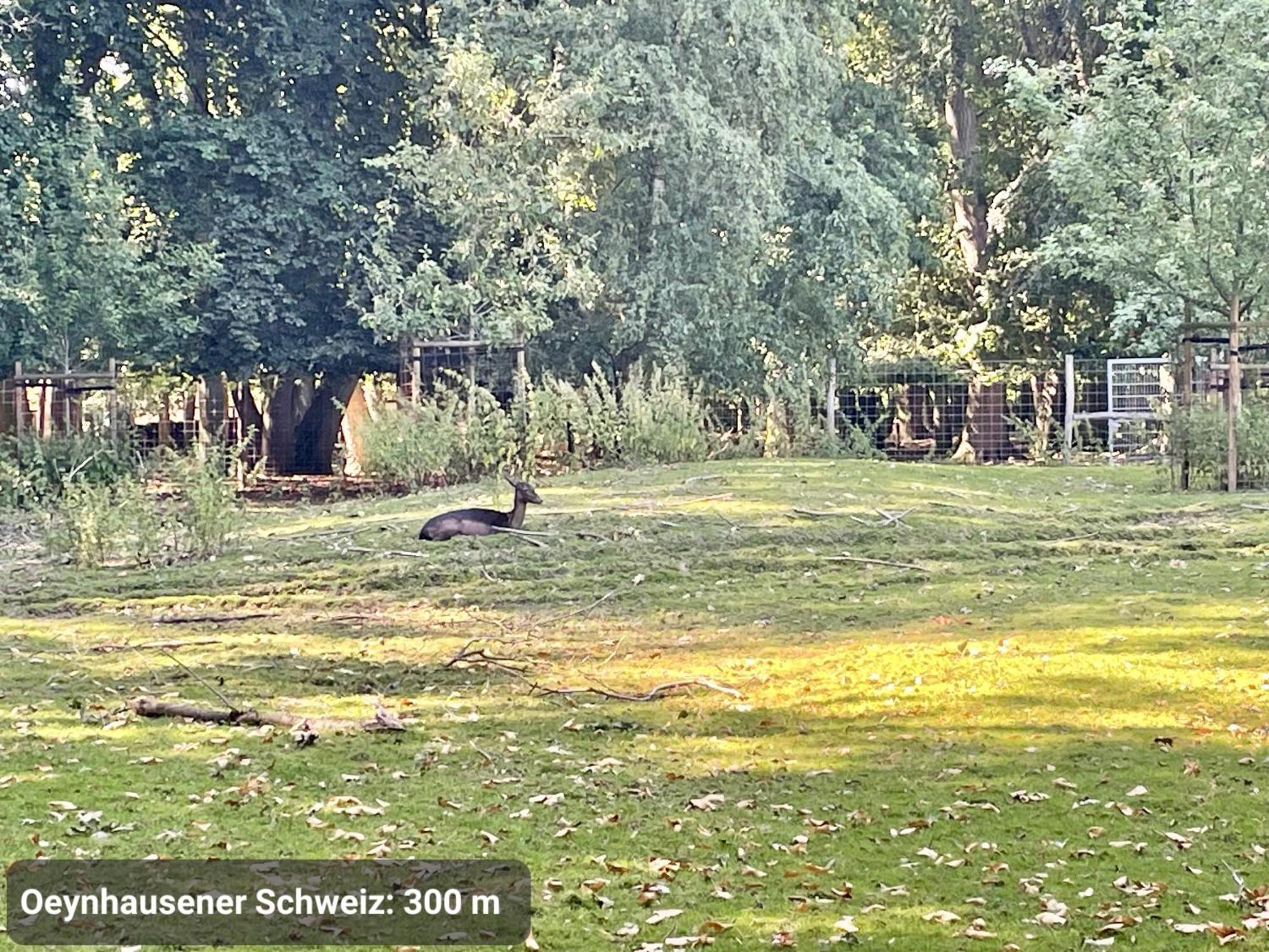 Top-Lage, 400 M Bis Gop, Bali-Therme Und Kurpark - Hdz - Parkplatz Bad Oeynhausen Exteriér fotografie